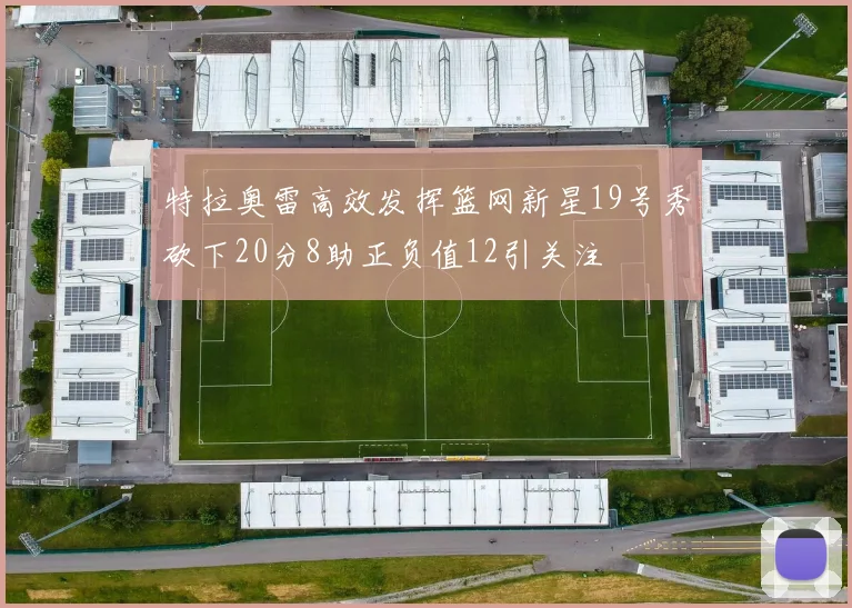 特拉奥雷高效发挥篮网新星19号秀砍下20分8助正负值12引关注