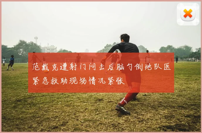 范戴克遭射门闷击后脑勺倒地队医紧急救助现场情况紧张