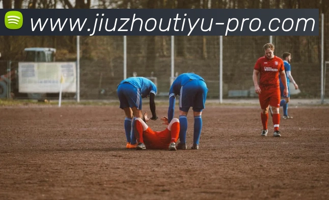 九州体育平台生态图